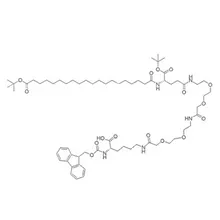 Fmoc-L-Lys[C20-OtBu-L-Glu(OtBu)-AA-AA]-OH