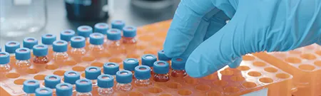 Aminosäuren & Derivate für die Peptidsynthese