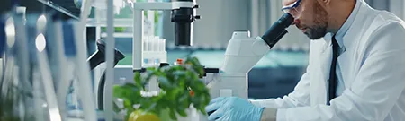 Rohstoffe & Zwischenprodukte