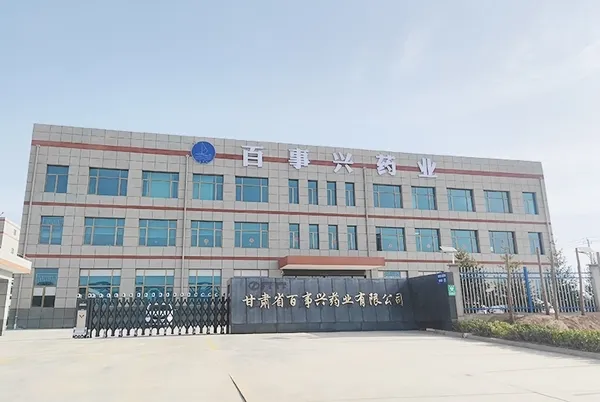 Lanzhou-Produktionsstätte